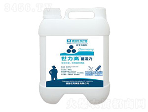 �ݲ�ѿ�ߗU������-���l(f��)��-����������