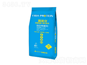 ΢�������-���l(f��)��-����������