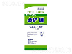 ���o��-����������