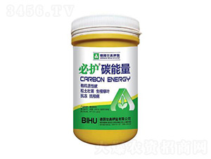 ̼����-���o-����������