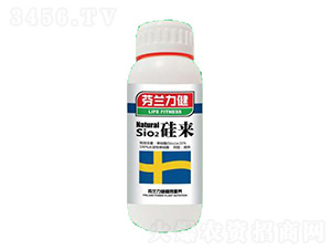 ���-����������