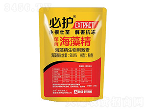 ����徫-���o-����������