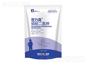 �������⛾���-����������