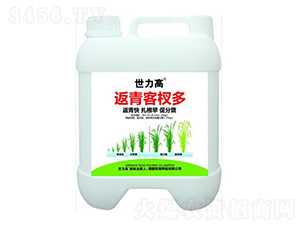 ������Y��-����������