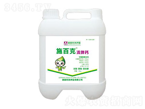 Ͱ�b���w�}-ʩ�ٿ�-����������