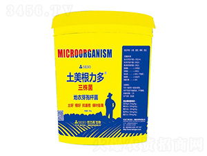 ����������-����������