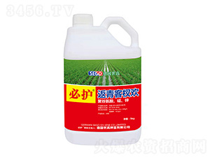 �����辚g-���o(h��)-����������