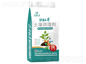 �����{(di��o)�턩-ؐ���S-�����o��