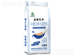 �}�A���h����Ԫ��ˮ�ܷ���-�����o(h��)��