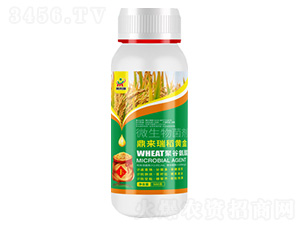 �������S��-΢�������-������