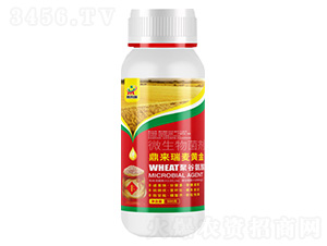 ���������S��΢�������-������