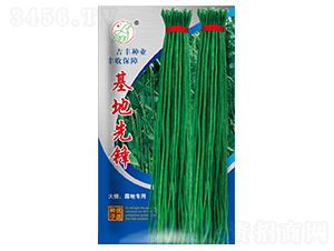 �������h-�����N��-���S�N�I(y��)