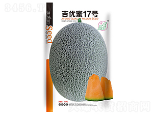 ����(y��u)��17̖(h��o)-��ϷN��-���S�N�I(y��)