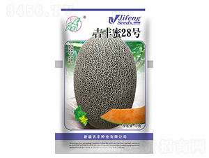 ���S��28̖(h��o)-��ϷN��-���S�N�I(y��)