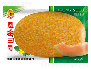 �˽���̖(h��o)-��ϷN��-���S�N�I(y��)