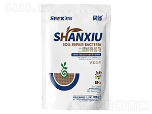 �W��(�����ޏ;���)-�r������