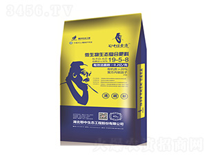 �������΢�������B(t��i)��(f��)�Ϸ���19-5-8-���зʘI(y��)