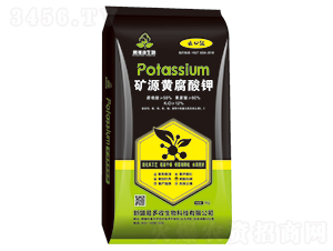 �VԴ�S����⛣����ڼ���-��������