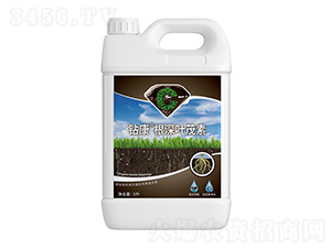 �@�������~ï��-�����ط�