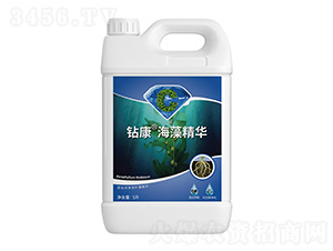 �@�����徫�A-�����ط�