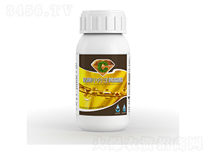 �@��С�����S����-�����ط�