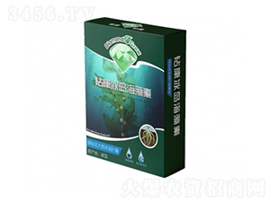 �@�����u������-�����ط�