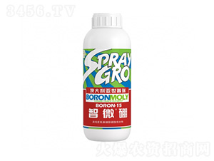 ��΢��-�����ط�