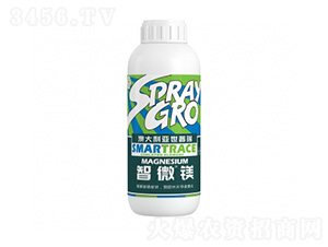 ��΢�V-�����ط�