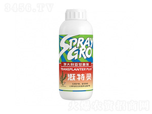 �����`-�����ط�