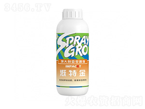 ���ؽ�-�����ط�