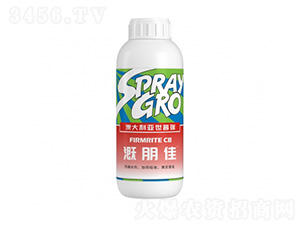 �����-�����ط�