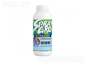 �z���~-�����ط�