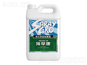 ���翵-�����ط�