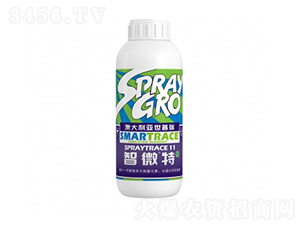 ��΢��-�����ط�