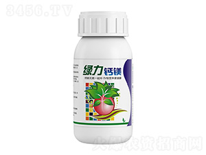 �G�����}�V-�����ط�