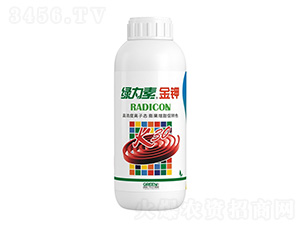 �G���ؽ��-�����ط�