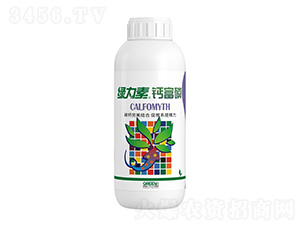 �G�����}����-�����ط�