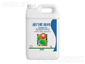 �G�������}-�����ط�