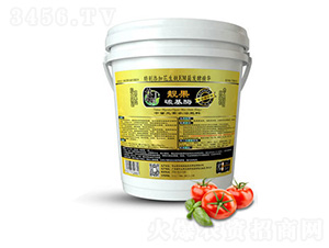 �ЙC�|(zh��)̼��ø-����r(n��ng)�I(y��)