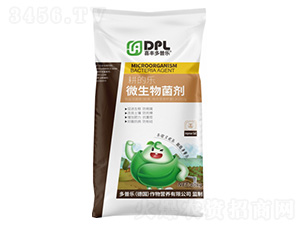 ���Ę�΢�������-���՘�