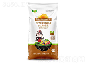 ����ø̼����-΢�������-Ǭʮ��-�t̫���r(n��ng)�I(y��)