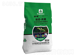 �׵�����(y��u)��������΢�������-�׵��r(n��ng)�I(y��)