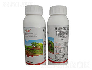 1%�װ������S���ر������}΢�鄩-ǧ���o-���r(n��ng)��