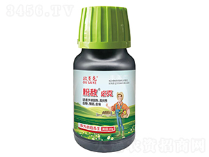 �۔��ؿ�-�Wِ��-�����f��