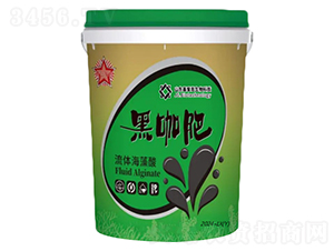 �ڿ������w������-����˼