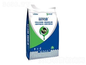 ��ؐ��-���_(d��)����