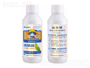 ���w��-�{؈�ǻ�