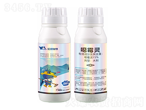 15%�fù�`-�{؈�ǻ�