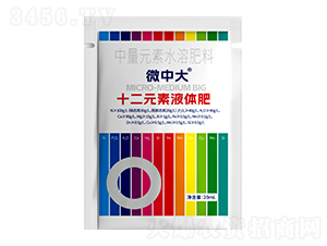 ʮ��Ԫ��Һ�w��-΢�д�-�̩