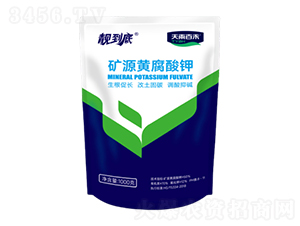 �VԴ�S�����-�n����-����ٺ�